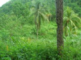 Portland St Margarets Bay MLS20309, Portland, Jamaica - Residential lot for Sale